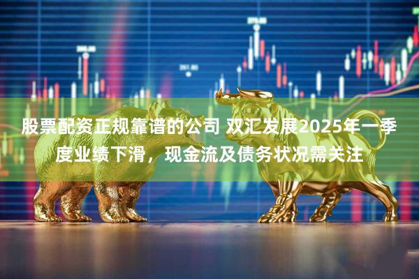 股票配资正规靠谱的公司 双汇发展2025年一季度业绩下滑，现金流及债务状况需关注